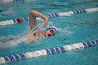 Swim vs Bentley  Wheaton College Swimming & Diving vs Bentley University. - Photo by Keith Nordstrom : Wheaton, Swimming & Diving